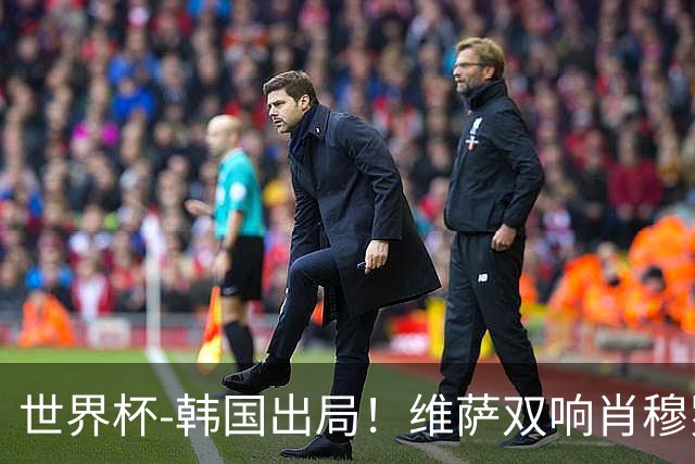 世界杯-韩国出局！维萨双响肖穆罗多夫神仙球 民主刚果3-1乌兹