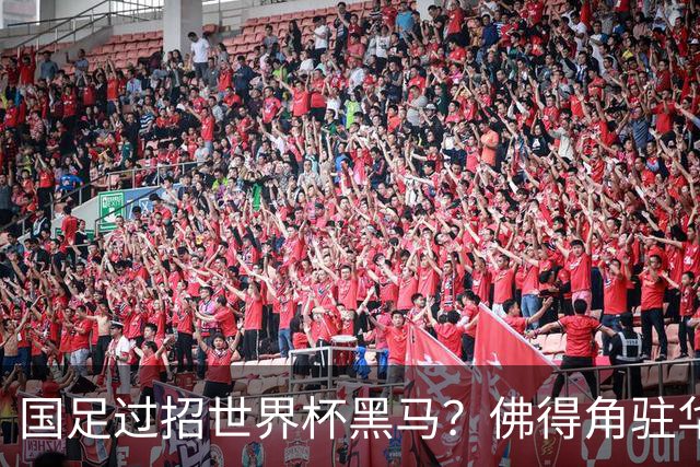 国足过招世界杯黑马？佛得角驻华大使：期待国家队来中国踢一场球