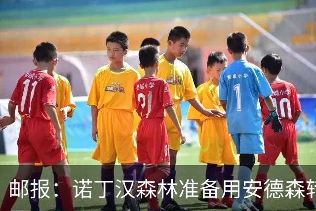 邮报：诺丁汉森林准备用安德森转会费引援，补强锋线和中场