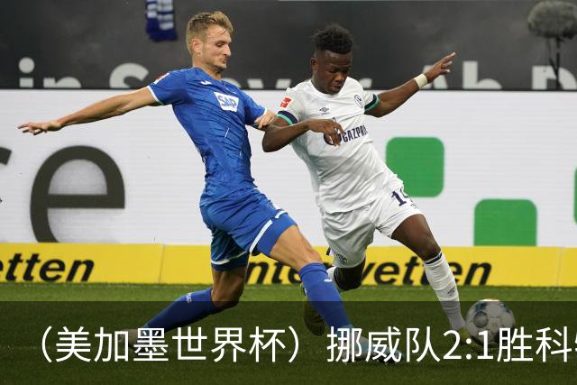 （美加墨世界杯）挪威队2:1胜科特迪瓦队 时隔28年重返16强